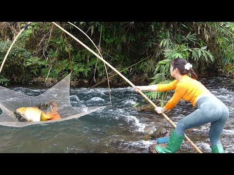 Top Fishing Videos: Best Fishing Skills, Amazing Fishing