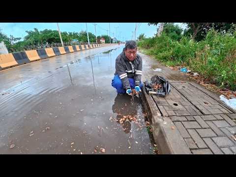 Roads flood when it rains, collecting debris and leaves