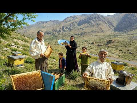 The secret to harvesting pure honey from nomadic hives