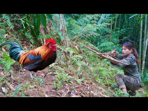 skills, setting traps, catching wild chickens, survival