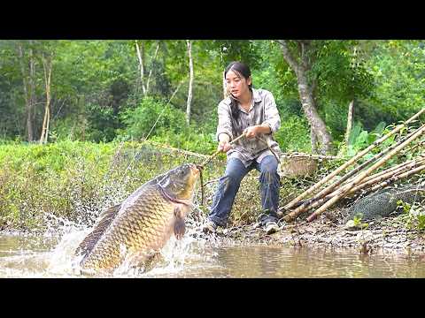Timelapse – Exploring an Old Fish Pond and Discovering Huge