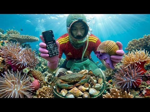 Phát Hiện Chiếc Điện Thoại Dưới Đáy Biển Trong Ngày Thợ Lặn