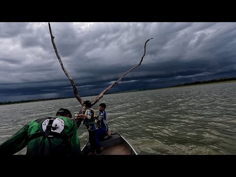 Peixe demais chegava pegar 3 de vez, um em cada vara, até a