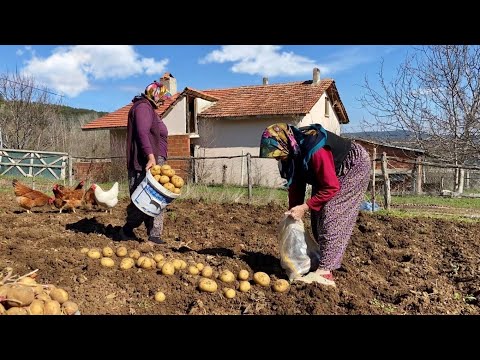 Köy Hayatı: Türkiye Dağ Köyünde Yaşam - Belgesel