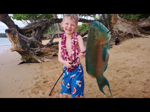 11 Day Fishing Catch & Cook in Hawaii - Diving with Whales