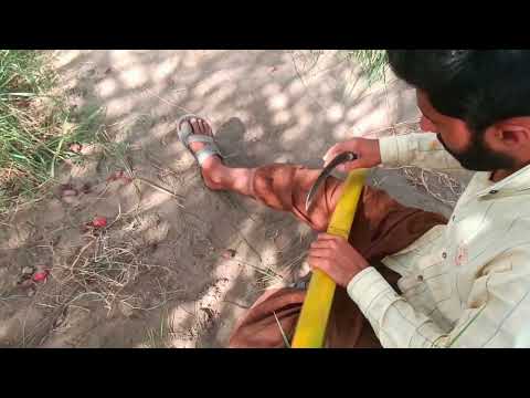 I Made a Traditional Toy Gun from a Palm Tree Rural