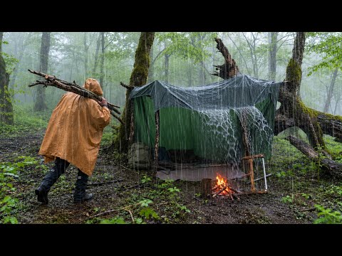 Heavy Rain Camping Under a Fallen Tree Building a Tarp