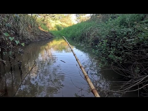 Pescaria de tilapia e tucunaré em uma ilha no Rio