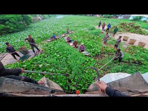 Clearing a massive pile of floating vegetation that is