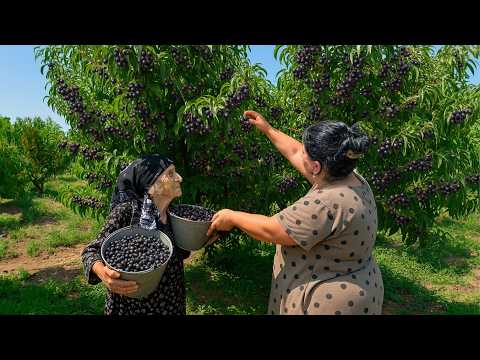 Village Fruit Harvest – Grandma’s Traditional Compote & Jam