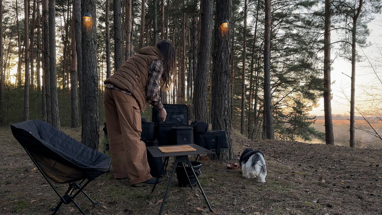 At last, I’m in the forest “Comfort Camping” (Part Two)