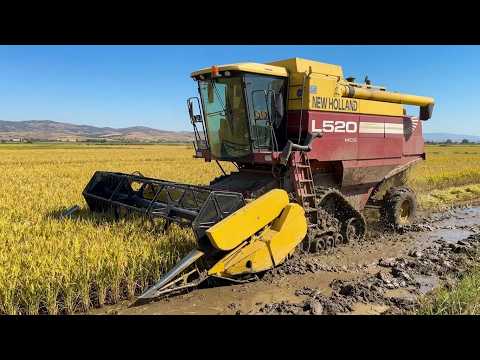 NEW HOLLAND L520 ÇELTİK BİÇİMİ RİCE HARVEST