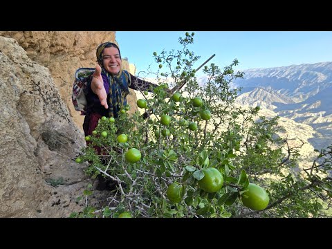 Discovering wild plums in the new nomadic mountains :