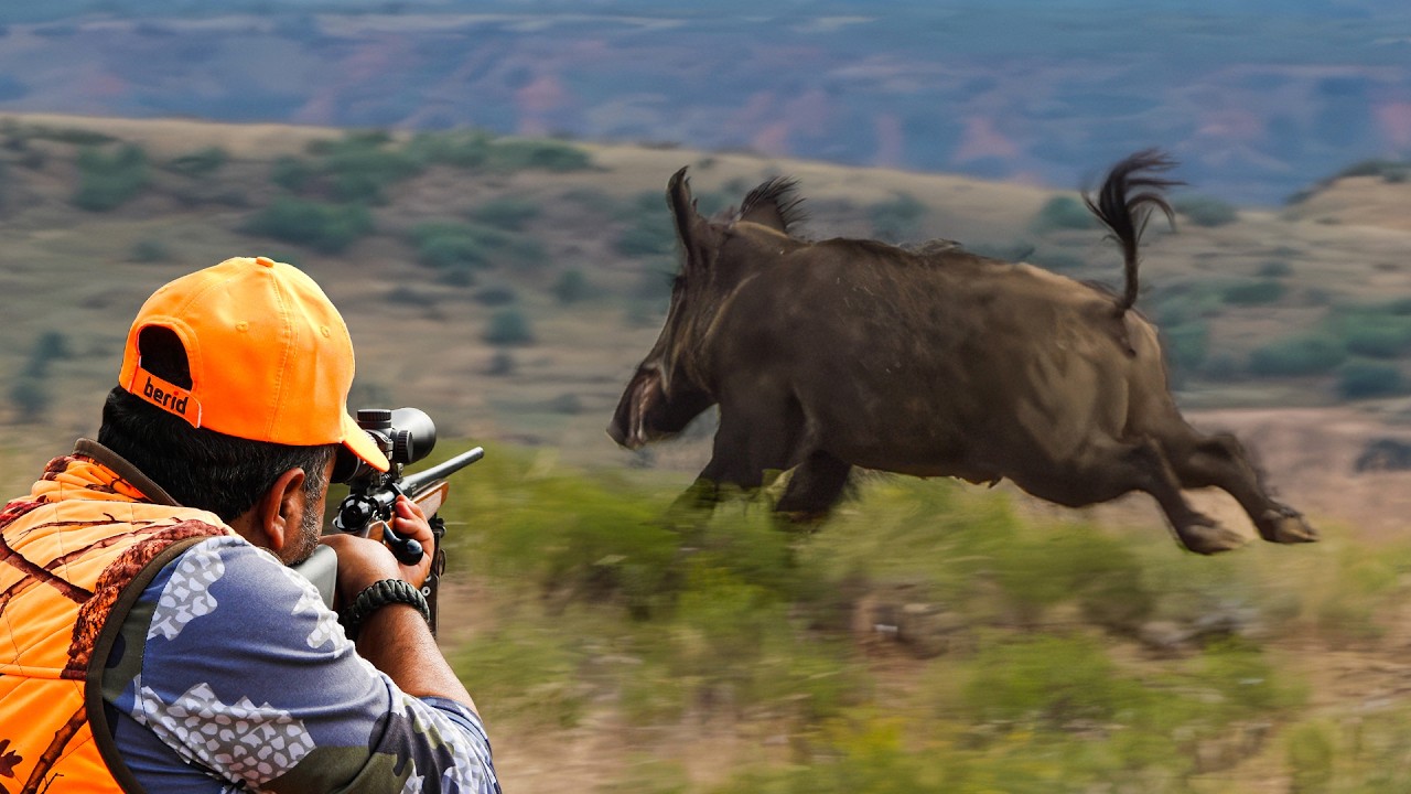 HUGE BOAR HUNTING IN THE MOUNTAINS