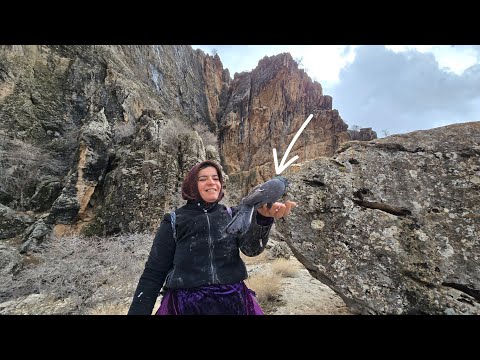 The story of rescuing a trapped bird : Nomadic cooking in