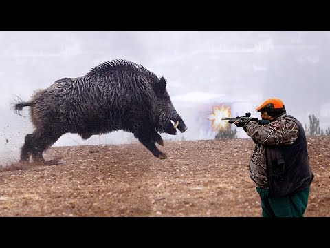 DEV CANAVAR YABAN DOMUZU AVI 2026- Giant Monster Wild Boar