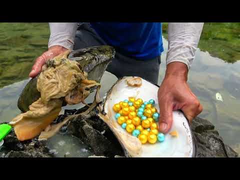 The girl pried open the sparkling giant clam and harvested