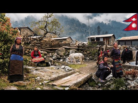 Life in the Highest Mountain Villages of Nepal | Manaslu