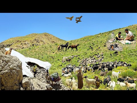 Lost in the Green Zagros Mountains The Secret Life of