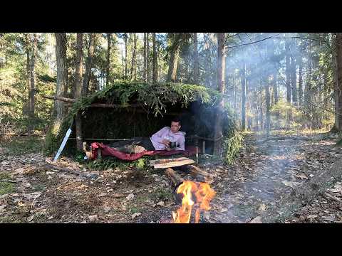Solo Bushcraft Shelter in the Wild Building a Survival Hut