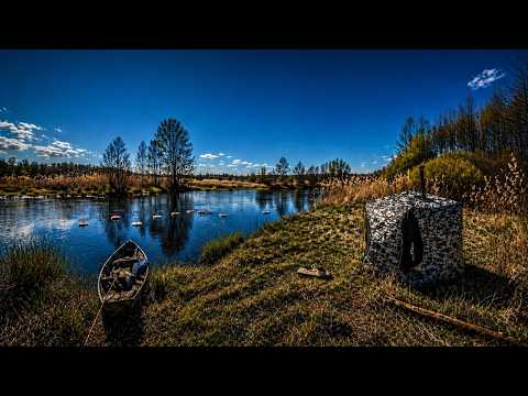 Alone in the wilderness camping fishing cooking fish