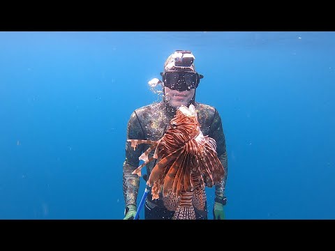 2 Day Florida Fishing Catch & Cook - Lobster, Lionfish &
