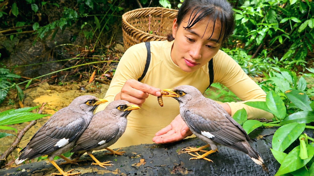 Rescuing Baby Birds From the Water After Hearing Their Cries
