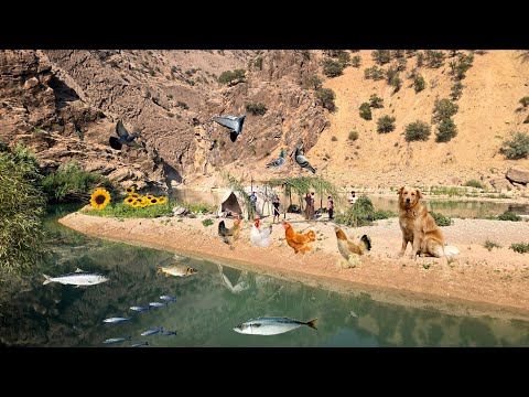 Nomadic Family Builds a Summer Shelter on a Tiny River
