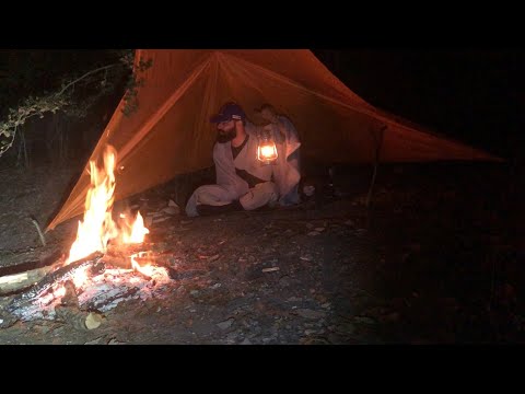 Solo Camping in the Forest: Bushcraft in the Heart of Nature