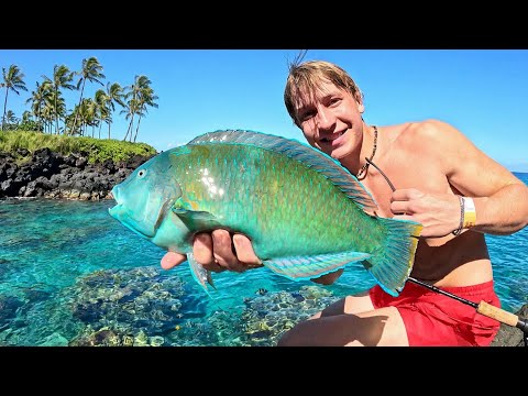 6 Days on a Tropical Island - Fishing & Snorkeling Coral