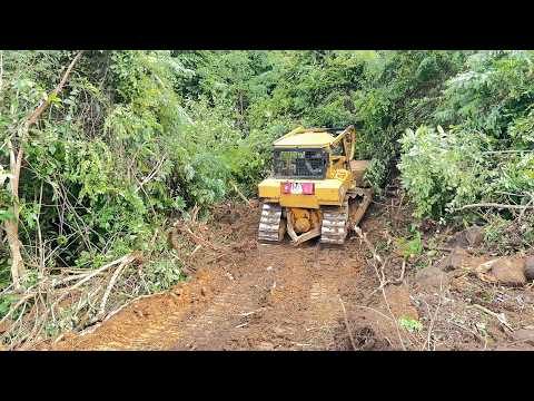 D6R XL Bulldozer Splits the Hill for Palm Oil Plantation