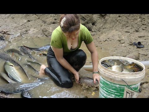 Full Videos: Great Fishing Techniques, Traditional Fishing