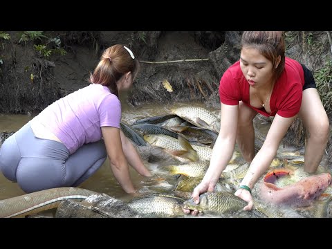 Full Video: Drain The Lake and Harvesting A Lot Of Fish For