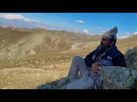 YORUCU GEÇEN GECELER -KÖPEKLERİN YORGUNLUĞU