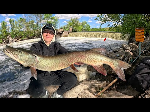 3 Days Fishing Spillways for GIANT MUSKIES (Car Camping &