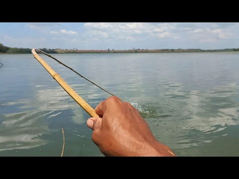 Só é chegar a Piracema isso acontece se tá doido pensa num