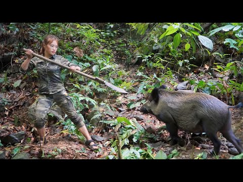 Survival skills, A herd of wild boars surrounds the