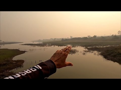 Pescaria de Oscar tucunaré gigante e traíra na procura é
