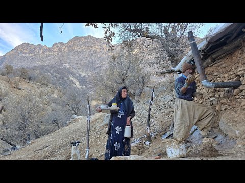 lran nomadic life: Jahangir's attempt to install a
