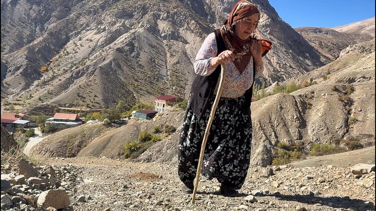 Dağ Köyünde Günlük Hayat / 492 Bölüm