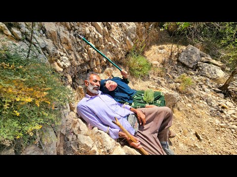 Healing water for the sick Ruqyah Touba's visit among the