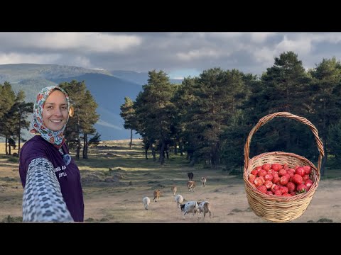 DAĞ KÖYÜNDE EN GÜZEL YAŞAM