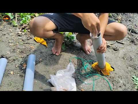 Best Fishing Method Using Pipe Old Traditional Fishing