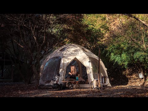Last Fall Camping with My Dog: Relaxing ASMR & Air Tent
