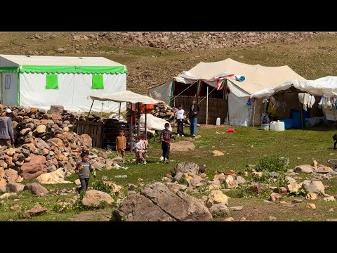 GÖLLER BÖLGESİ, KINALI KEKLİK HAREKETLERİ-YAYLA GEZİSİ