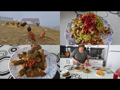 KÖYDE YAŞAM SEVİMLİ TAVUKLARIMIZ VE AKŞAM MENÜ HAZIRLIĞIMIZ