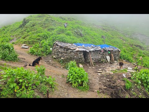 Real Himalayan Nepali Mountain Village Life During Heavy