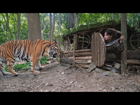 Build shelters, avoid wild animal attacks, wild boar