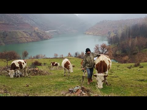 Soğuk bir kış gününde mutlu bir yaşamKöyde yaşamA happy