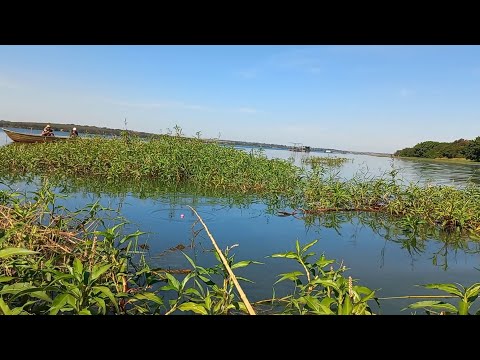 Pescaria caipira no Rio marinheiro cardoso sp paraíso do